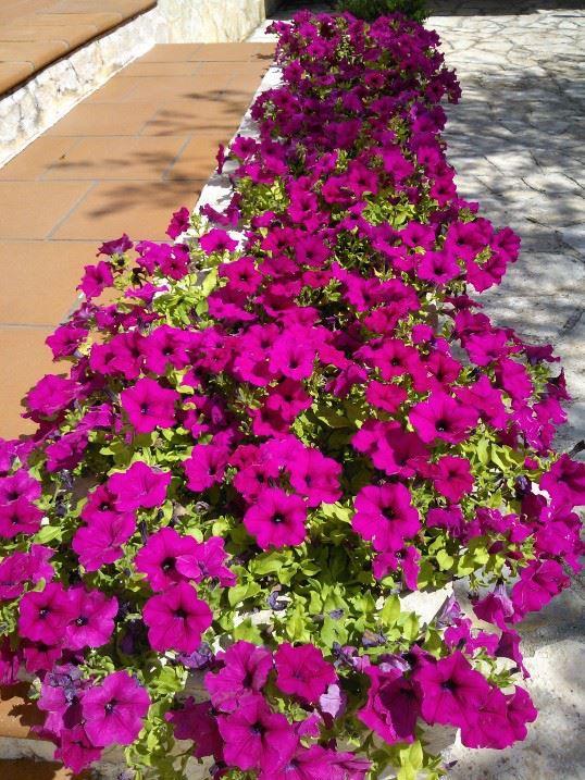 Albachiara Bed & Breakfast Monopoli Exterior foto