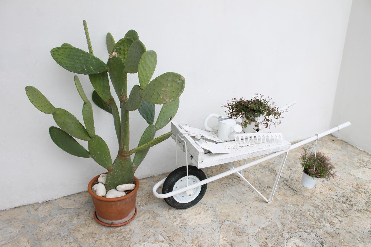 Albachiara Bed & Breakfast Monopoli Exterior foto